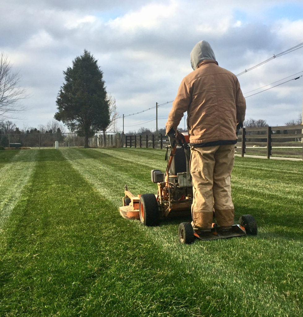 Mowing Stripes