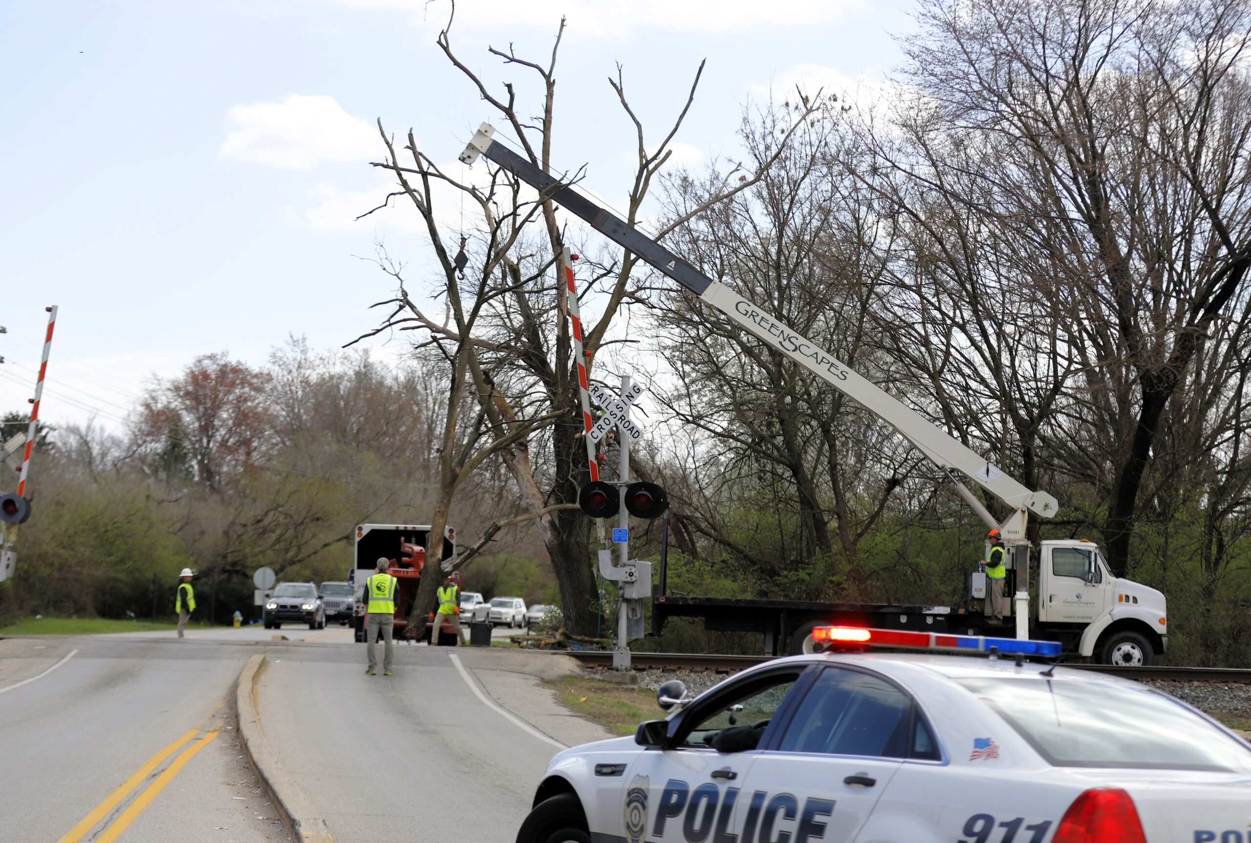 Professional tree damage cleanup after a storm in Kentucky